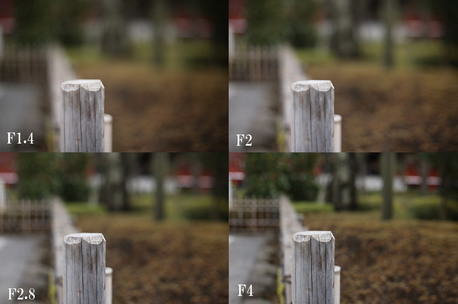 作例付き商品レビュー】キヤノン EF50mm F1.4 USM