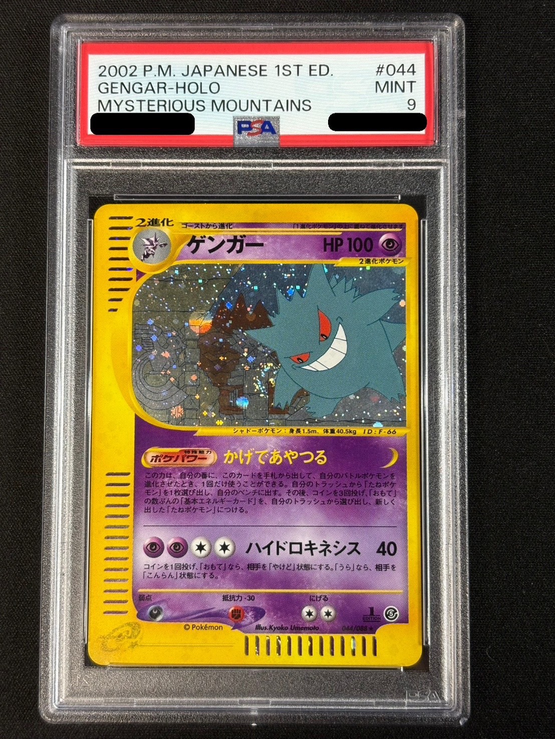 PSA8 ゲンガー ずかんカード PSA8 ゲンガー ずかんカード PSA8