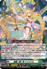 ストイケイア - カードラッシュヴァンガード