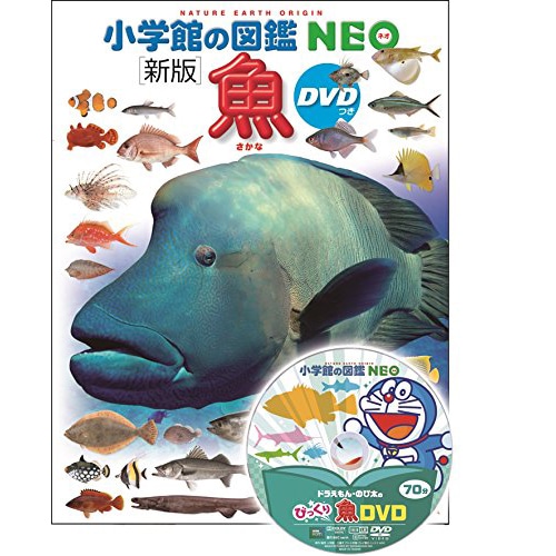 小学館の図鑑NEO〔新版〕魚 DVDつき／井田齊、松浦啓一 松沢陽士
