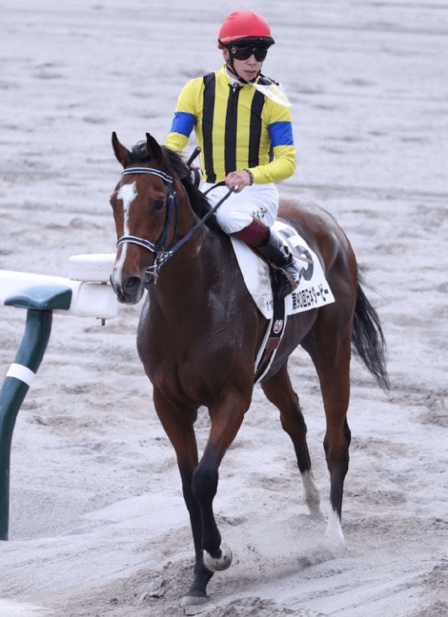 ソールオリエンスの次走は？なんJの評判や主戦騎手を紹介！ | 競馬予想