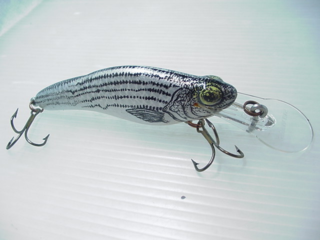 ONLINE SHOP／オールドメモリーズ オールドタックル・バス・トラウト