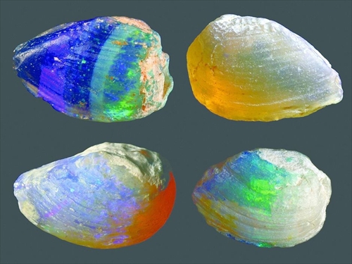 こんなの欲しい 。。。 | オパール・オーストラリアのアレコレ