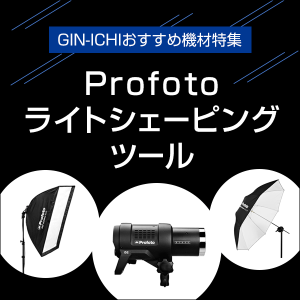 Profoto(プロフォト) フラットフロント用グラスカバー 101561(グラス