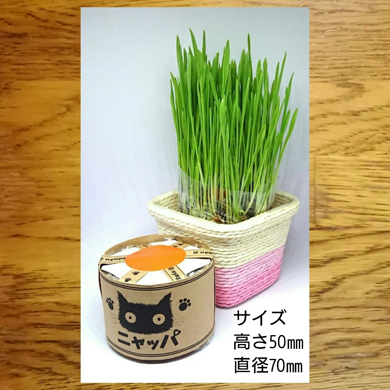 バラエティパック | 商品紹介 | 無農薬大麦の猫草栽培セットで人気の