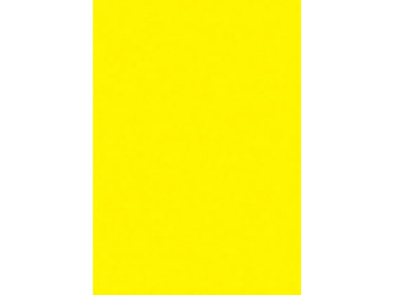 タカ印 蛍光ポスター A4 レモン 10枚 13-3185 通販【フォレストウェイ】