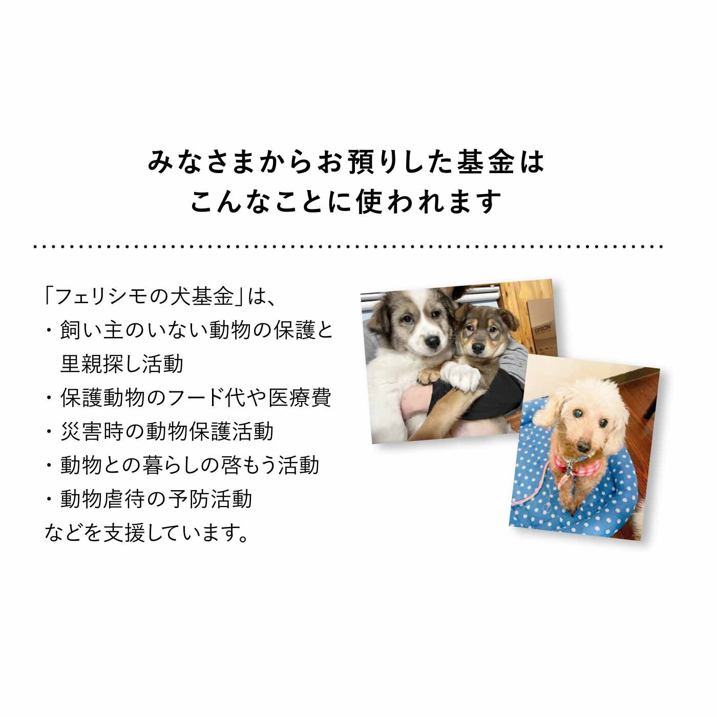 わんわんチャリティーハンカチ〈YEYEさん〉｜フェリシモの雑貨 Kraso