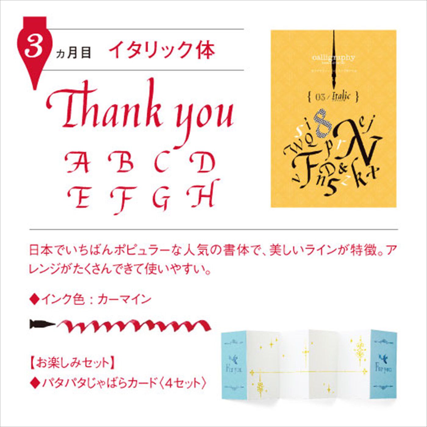 一度書いてみたかった！ 文字に魅せられる生活 カリグラフィーレッスン