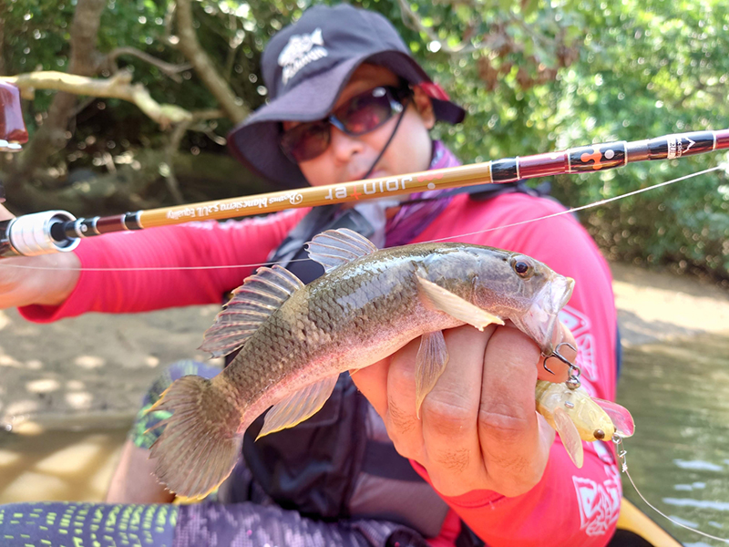 Beams blancsierra52UL Equalityでカヤックピン撃ちゲーム - Fishman