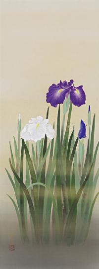 菖蒲 堀高泉 尺五立！ 夏 - 掛け軸（掛軸）販売通販なら掛け軸総本家