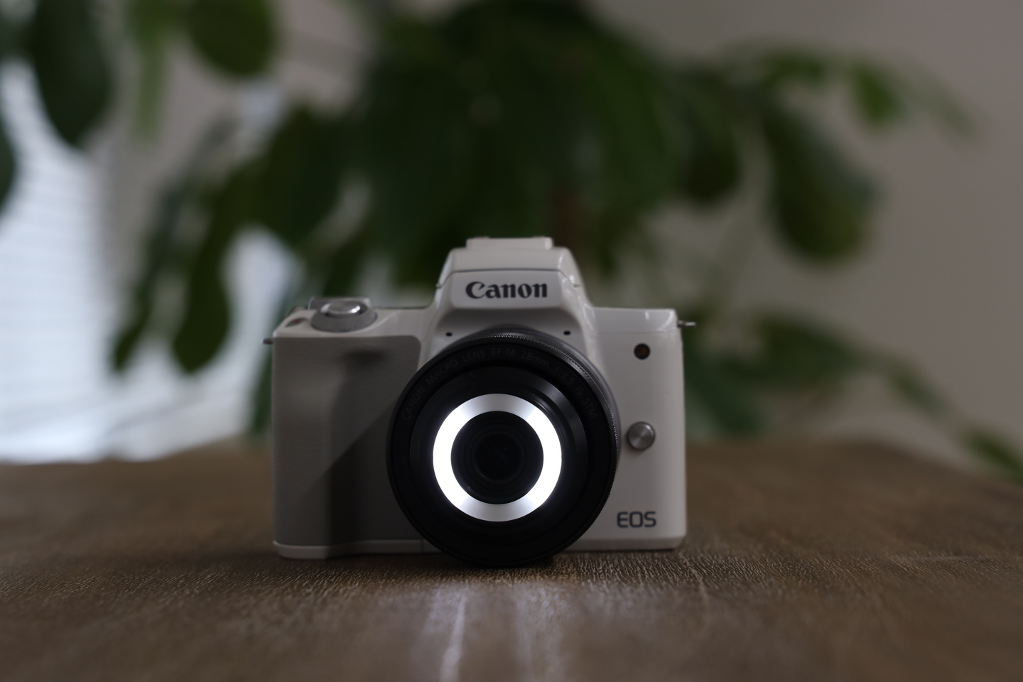 キヤノン EOS Kiss M レビュー｜初心者の方におすすめの理由とは