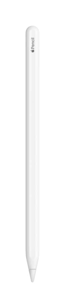 Apple Pencil 2, 1 ct - Fred Meyer