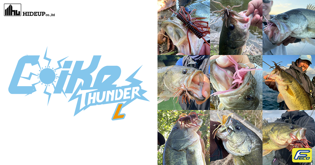 コイケサンダーL HIDEUP ハイドアップ