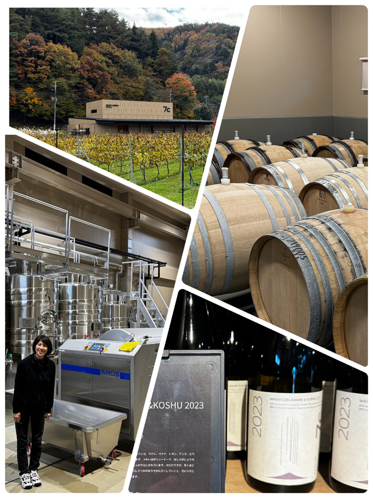 7c セブンシダーズワイナリー（7c / seven cedars winery） | お酒の