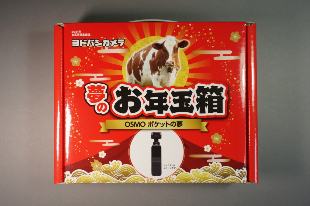 抽選販売のヨドバシ福袋！夢のお年玉箱2021「OSMOポケットの夢」開封