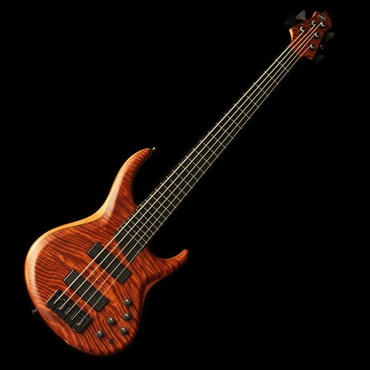 ベース エレキベース フレットレスベース 商品一覧｜イケベ楽器店