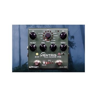 SOURCE AUDIO 【WEB限定在庫処分セール】 SA262 VENTRIS DUAL REVERB