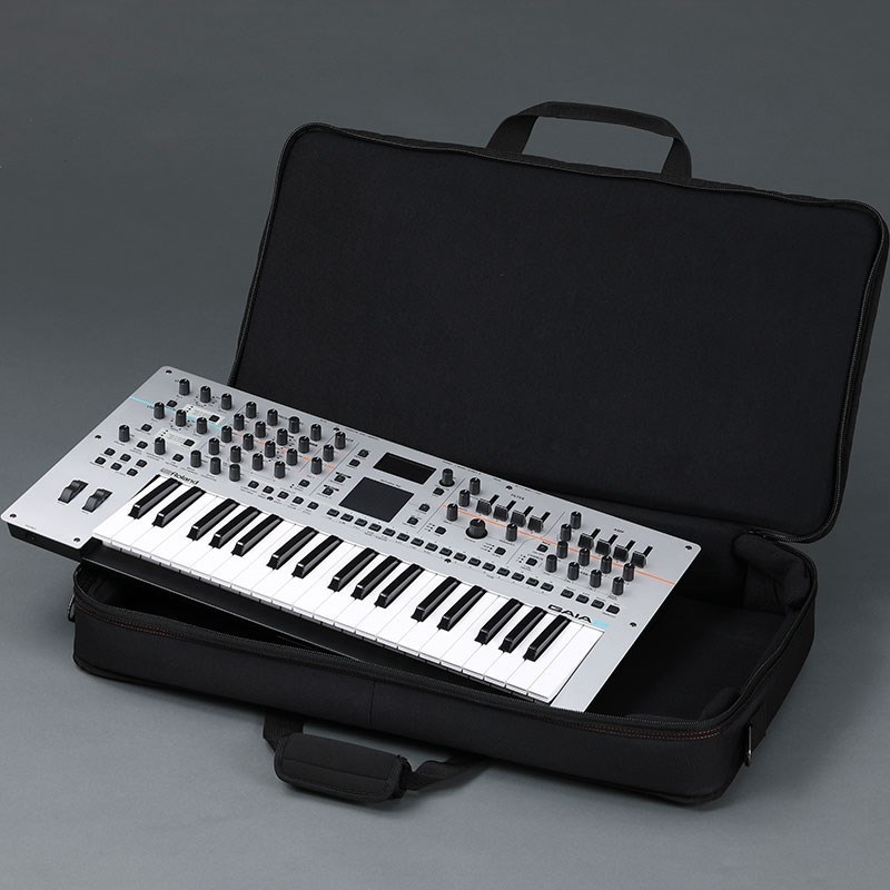 Roland GAIA2+CB-B37 キャリングバッグセット ｜イケベ楽器店
