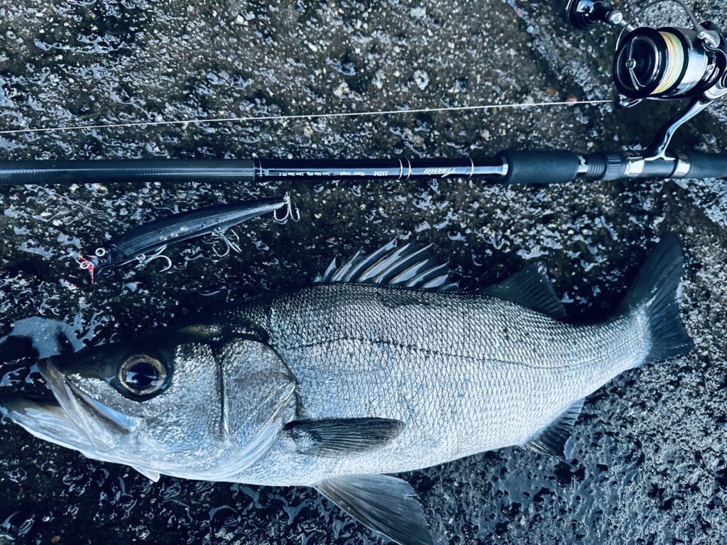 実釣インプレ】24セルテートLT 5000D-XH | 磯釣りらいふろぐ