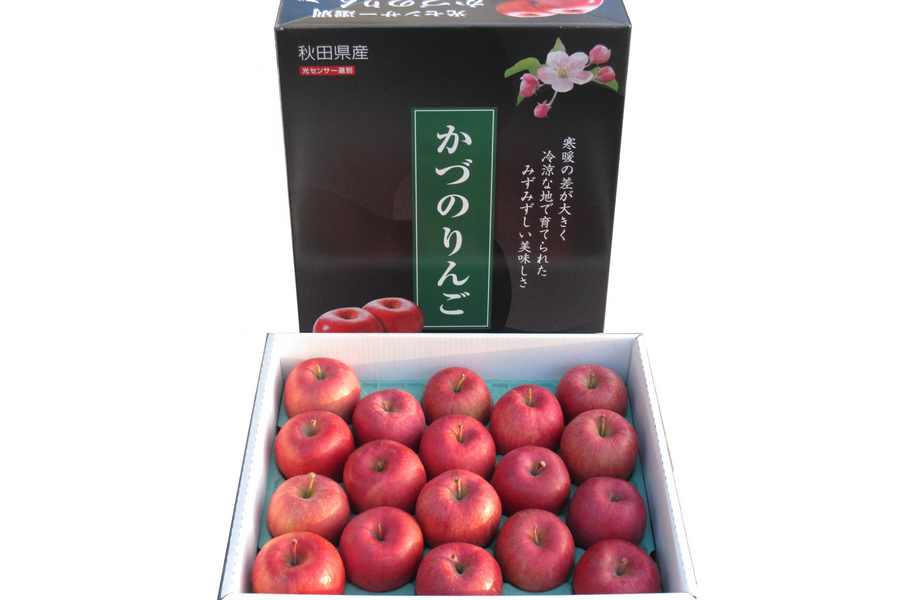 12月上旬発送】【C】かづのりんご 『ふじ』 5kg（約13～20玉）: おらほ