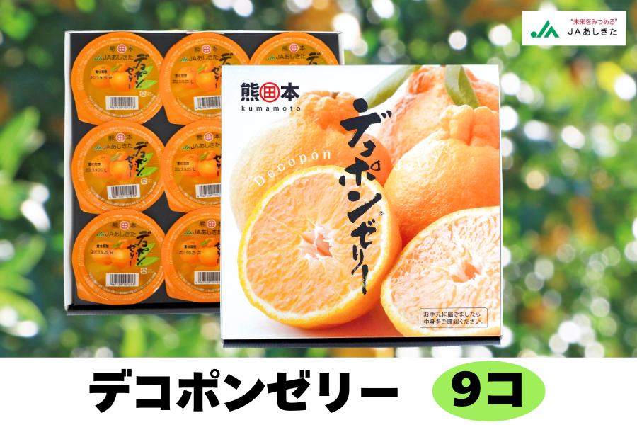 デコポンゼリー (9個入): JAあしきた|【JAタウン】産地直送 通販 お