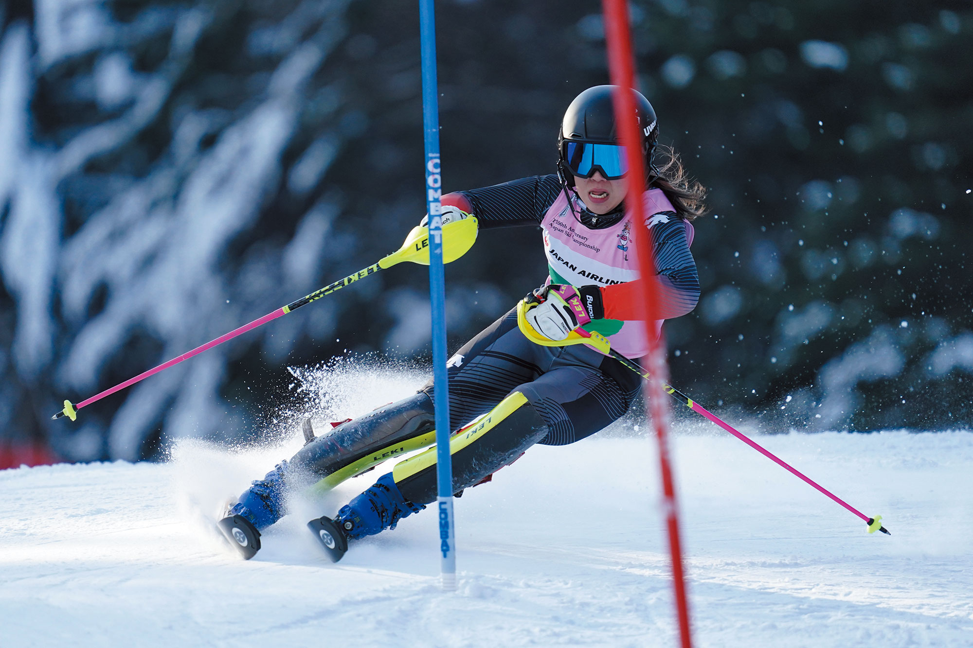 TRIUN SL | オガサカスキー | アルペンスキー・ノルディックスキー