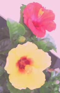 森本草介 プラム | 絵画など美術品の販売と買取 | 東京・銀座 おいだ美術