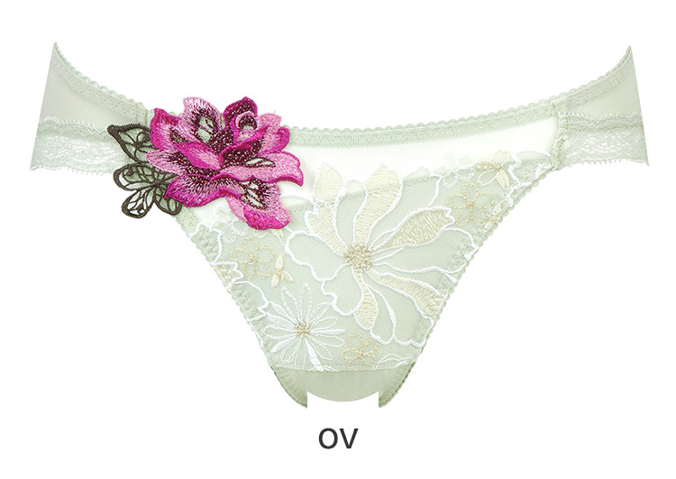 PTJ796｜ワコール サルート 96G スタンダードショーツ M/L/LL 下着