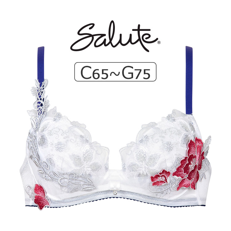 BTJ786｜ワコール サルート 86G ブラジャー単品 CDEFGカップ アンダー