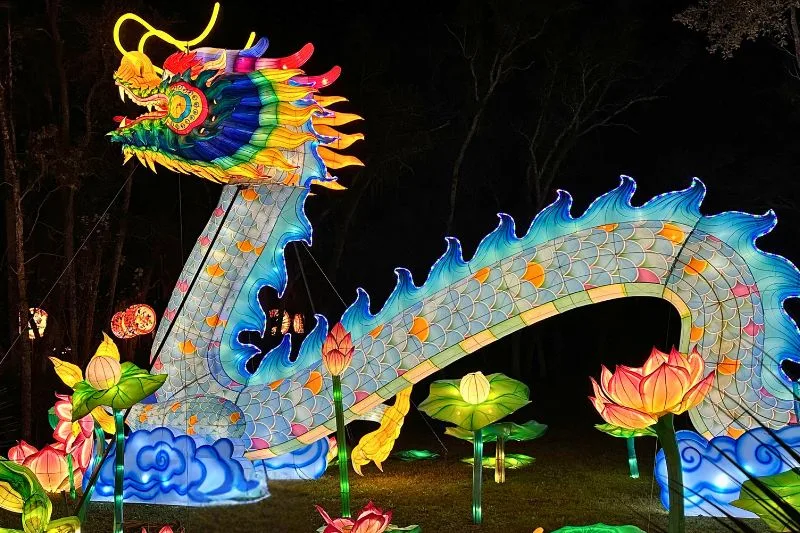 A Luminous Date at the Central Florida Zoo Asian Lantern Festival