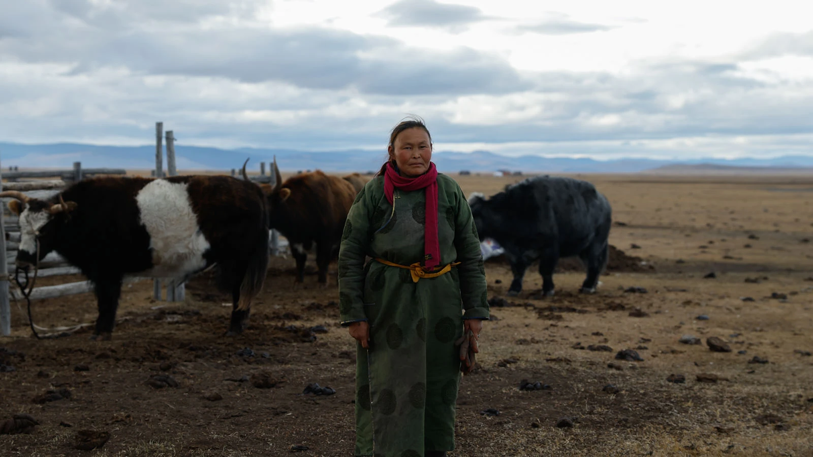 写真集の夜飯沢耕太郎オンライン・フォトブック・ギャラリー第8回 竹沢