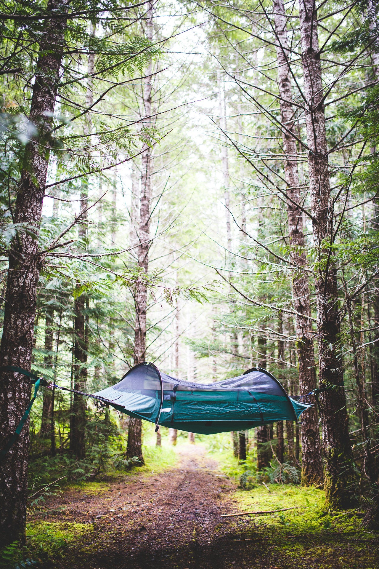 Lawson Hammock | Hammock Tent | Blue Ridge Camping Hammock