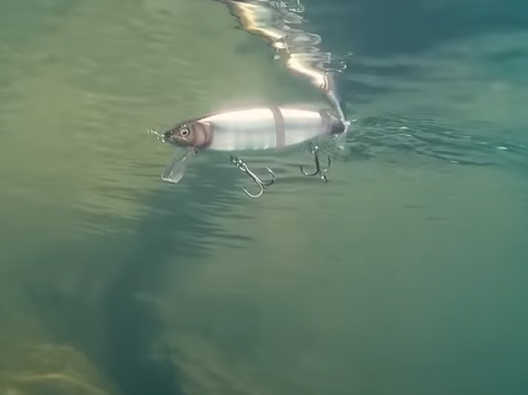 GARUDA | Megabass-メガバス