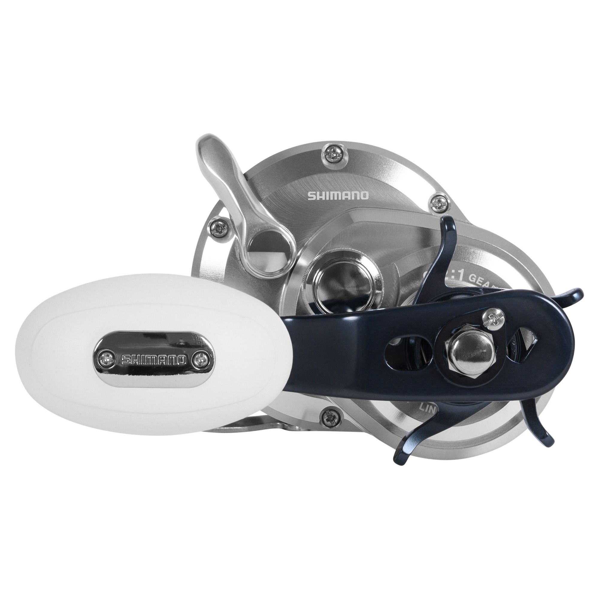 Shimano Trinidad A TN20A Conventional Reel - Melton Tackle