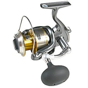 807_1.jpg?20050106160622