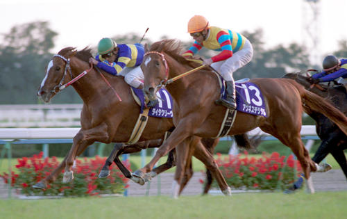 マイルCS】元祖二刀流アグネスデジタル、ダート重賞3勝馬が芝初VでG1