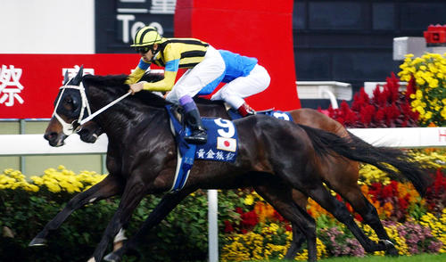 G1ヒストリア番外編 ＜1＞01年香港ヴァーズ】ステイゴールド 最初で