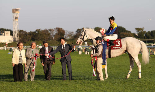 おじいちゃんですけど頑張ってくれた」8歳馬ハヤヤッコ最後方から強襲