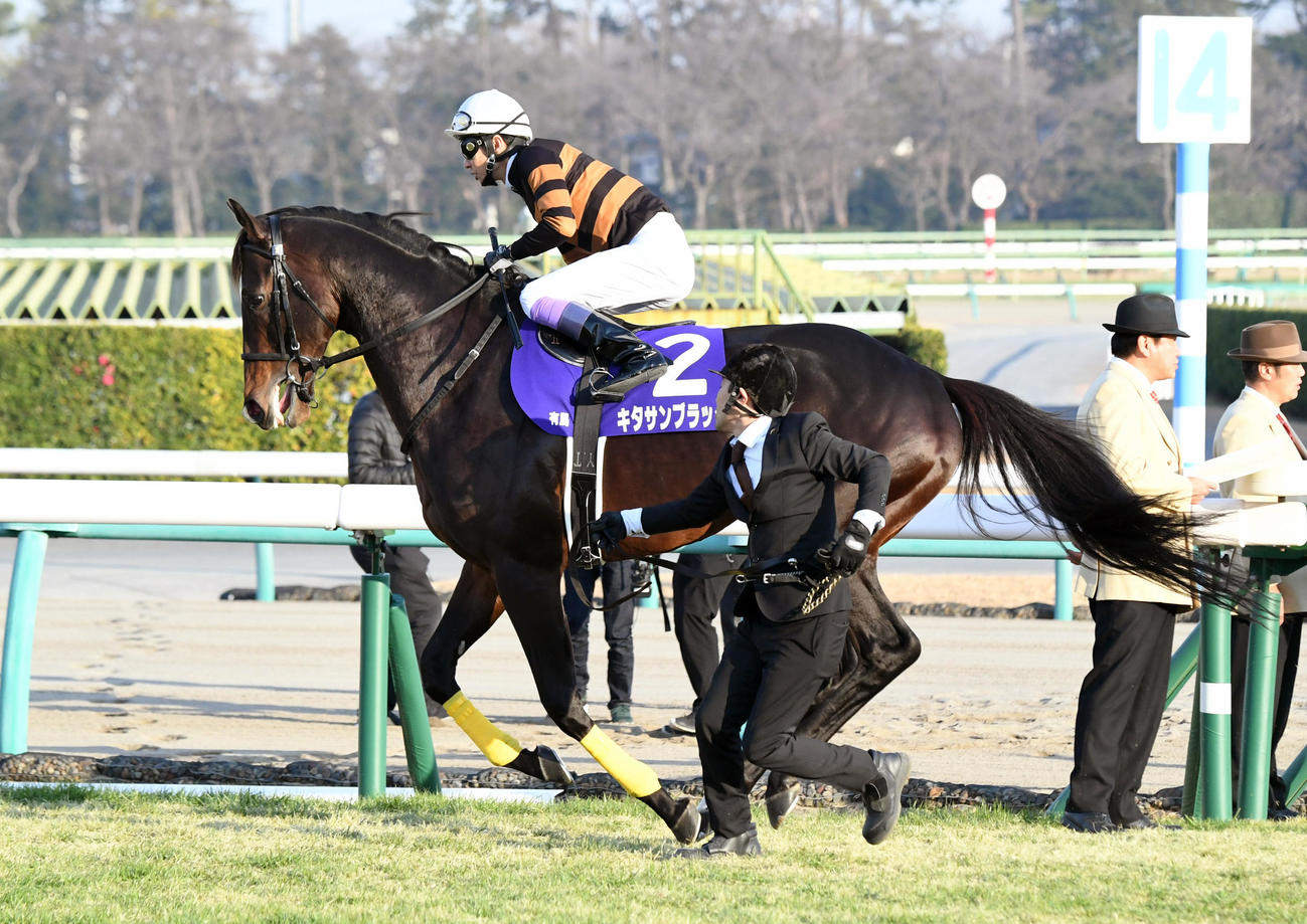 有馬記念】話題の日高産勝利馬はキタサンブラック、ゴールドシップなど