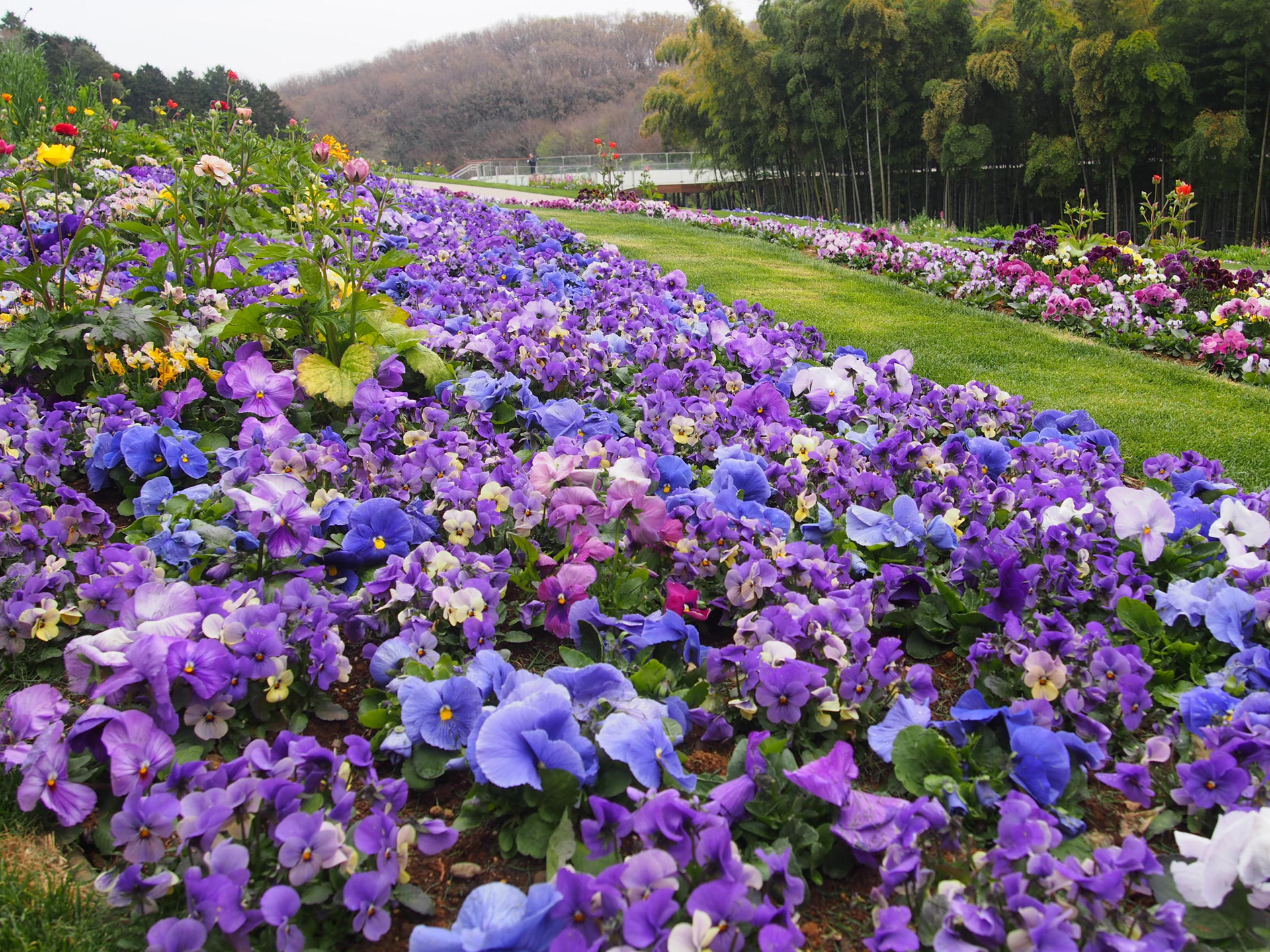 2025年 春の里山ガーデンフェスタ開催記録 | 里山ガーデンフェスタ