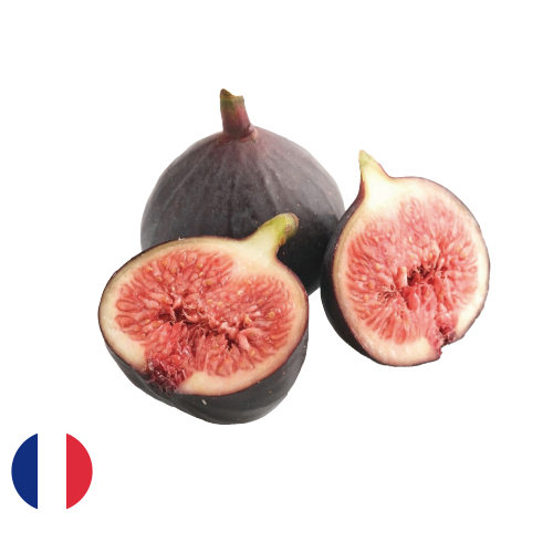 いちじくの栽培品種｜さんぽ園｜埼玉県 新座市 社会福祉法人 埼玉福祉会