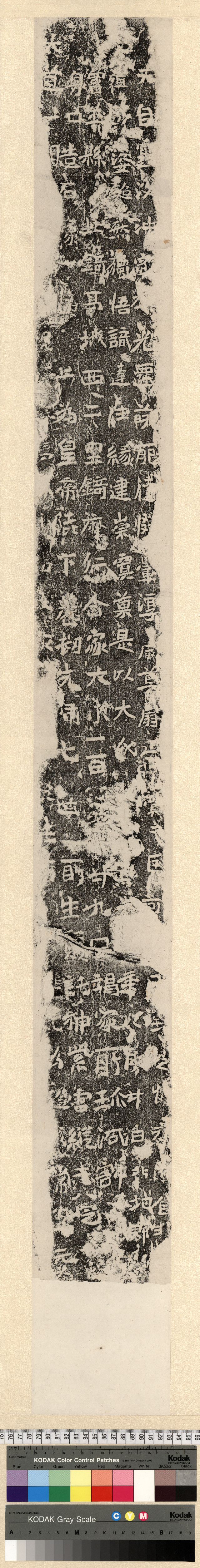 中国石刻拓本デジタルア－カイブズ 北魏｜淑徳大学