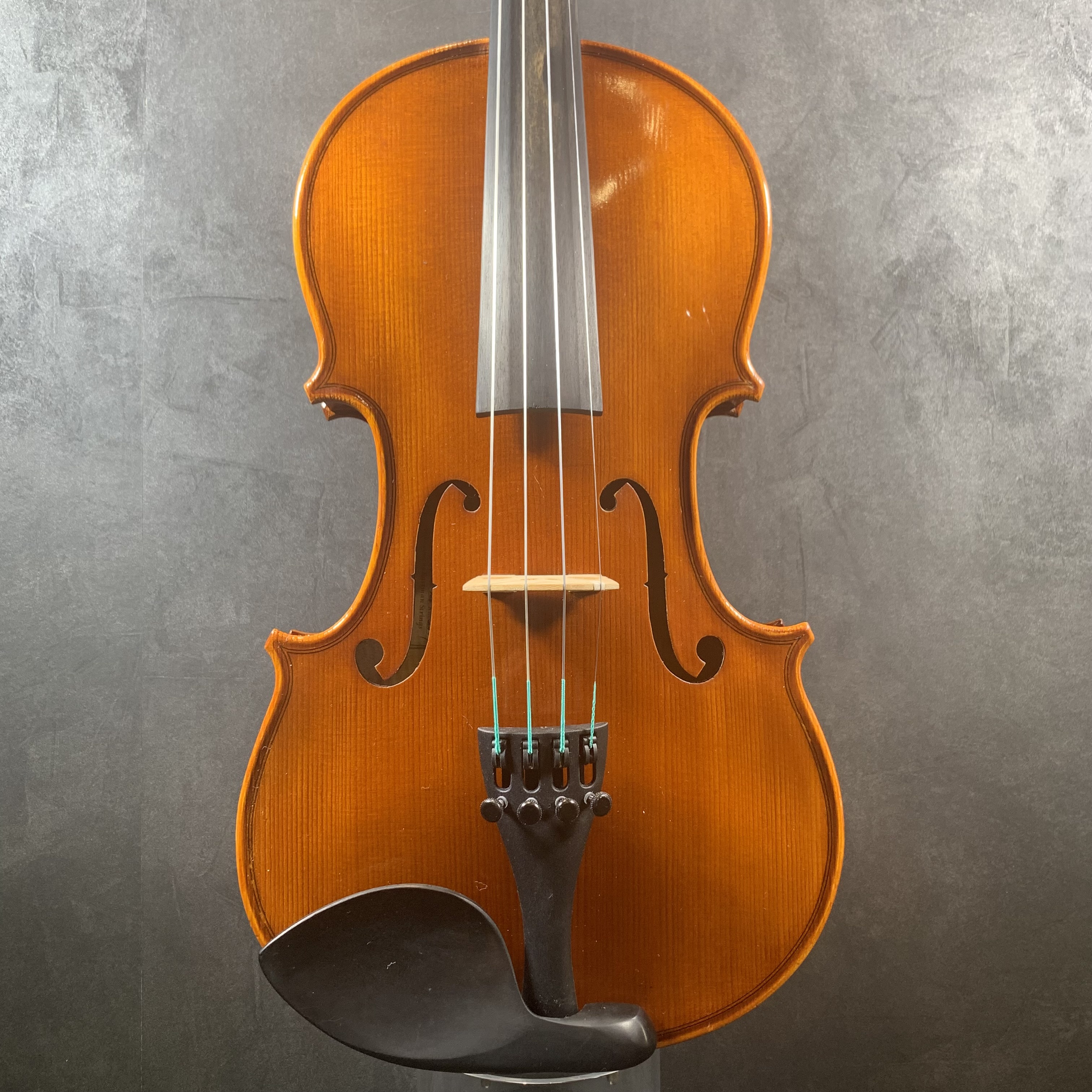 中古分数ヴァイオリン紹介】EASTMAN(イーストマン)VL80セット 3/4