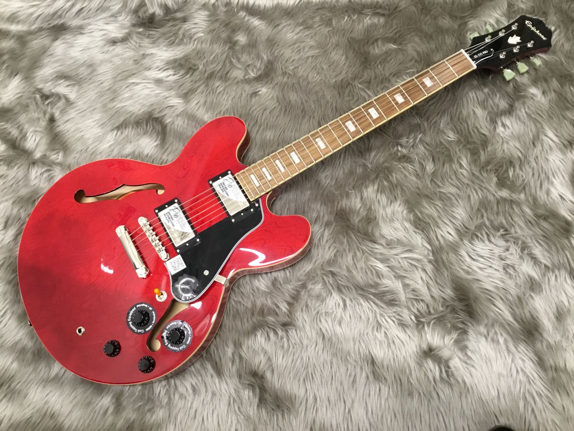 ギター入荷情報！Epiphone (エピフォン) ES-335 pro｜島村楽器 イオン