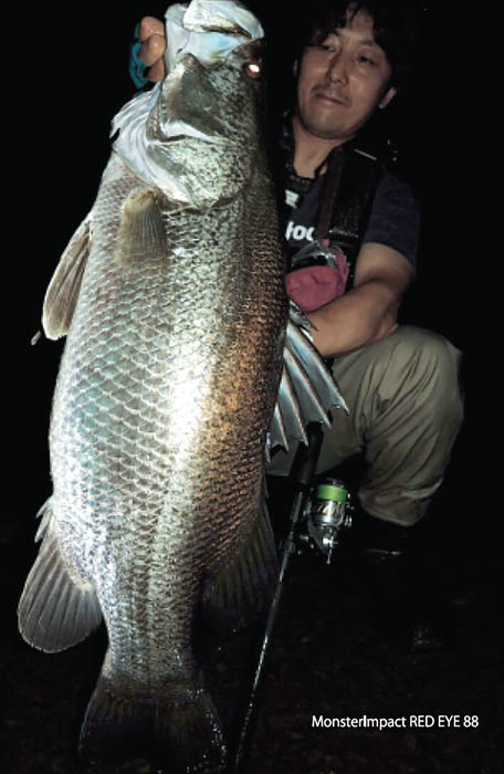 PLAT/ripple fisher monster impact red eye 93 free shipping-Fishing