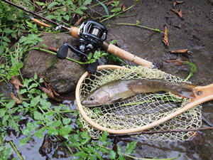 Troutin Marquis (トラウティンマーキス)｜AbuGarcia｜釣具の総合