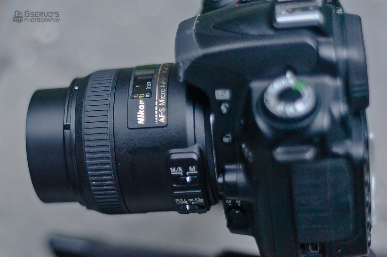 Long Term Review: Nikon 40mm f2.8G AF-S DX Micro-NIKKOR - The