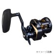 ダイワ 25ソルティガ 300H - 上島釣具店
