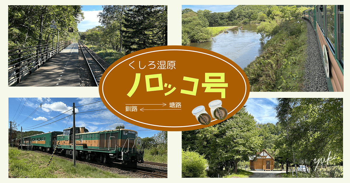 2026年終了！？広大な釧路湿原を巡る『くしろ湿原ノロッコ号』旅モデル