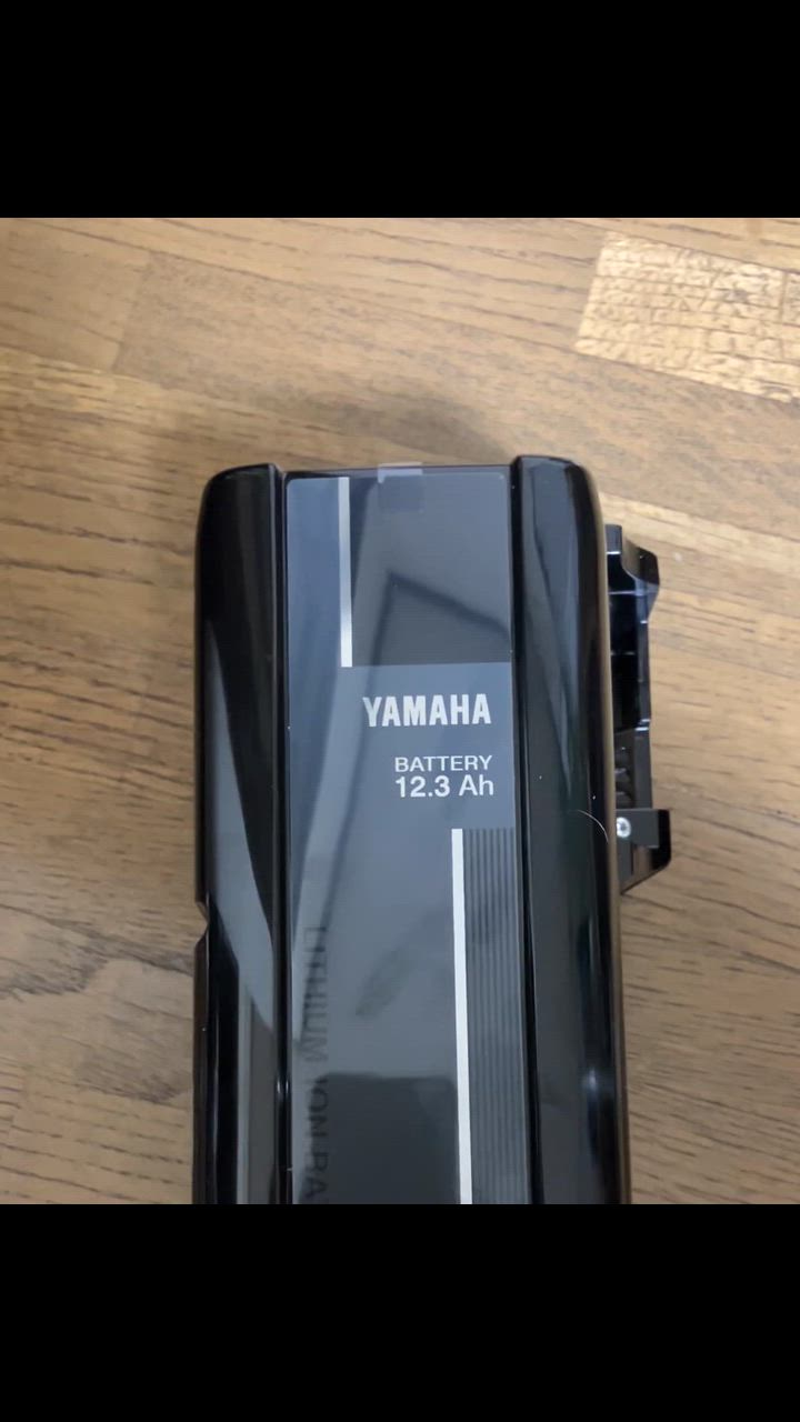 YAMAHA（ヤマハ） パス 電動自転車用リチウムイオンバッテリーBOX ASSY